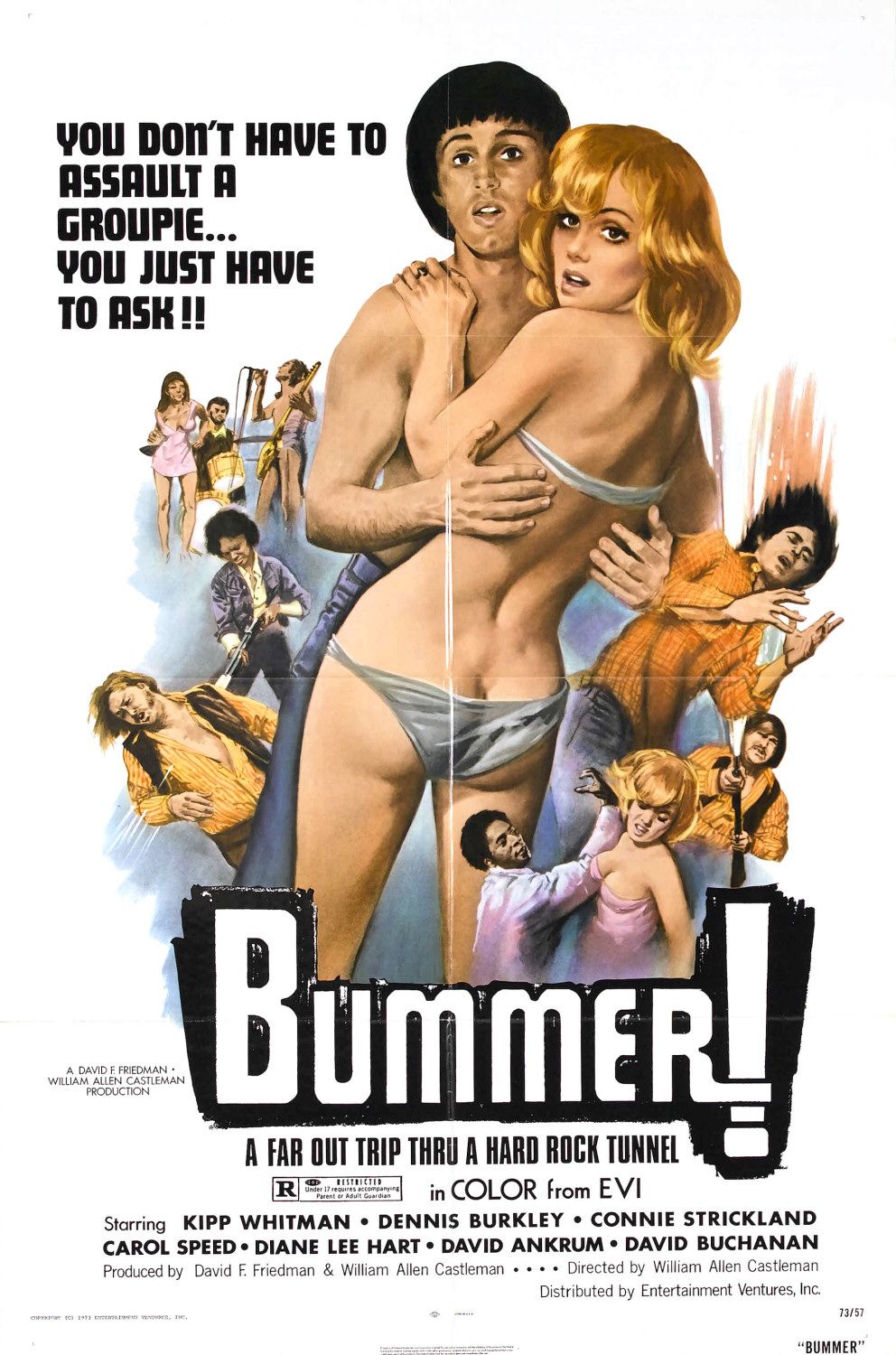 Extra Large Movie Poster Image for Bummer 