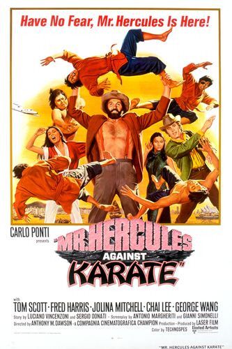Mr. Hercules Against Karate Movie Poster