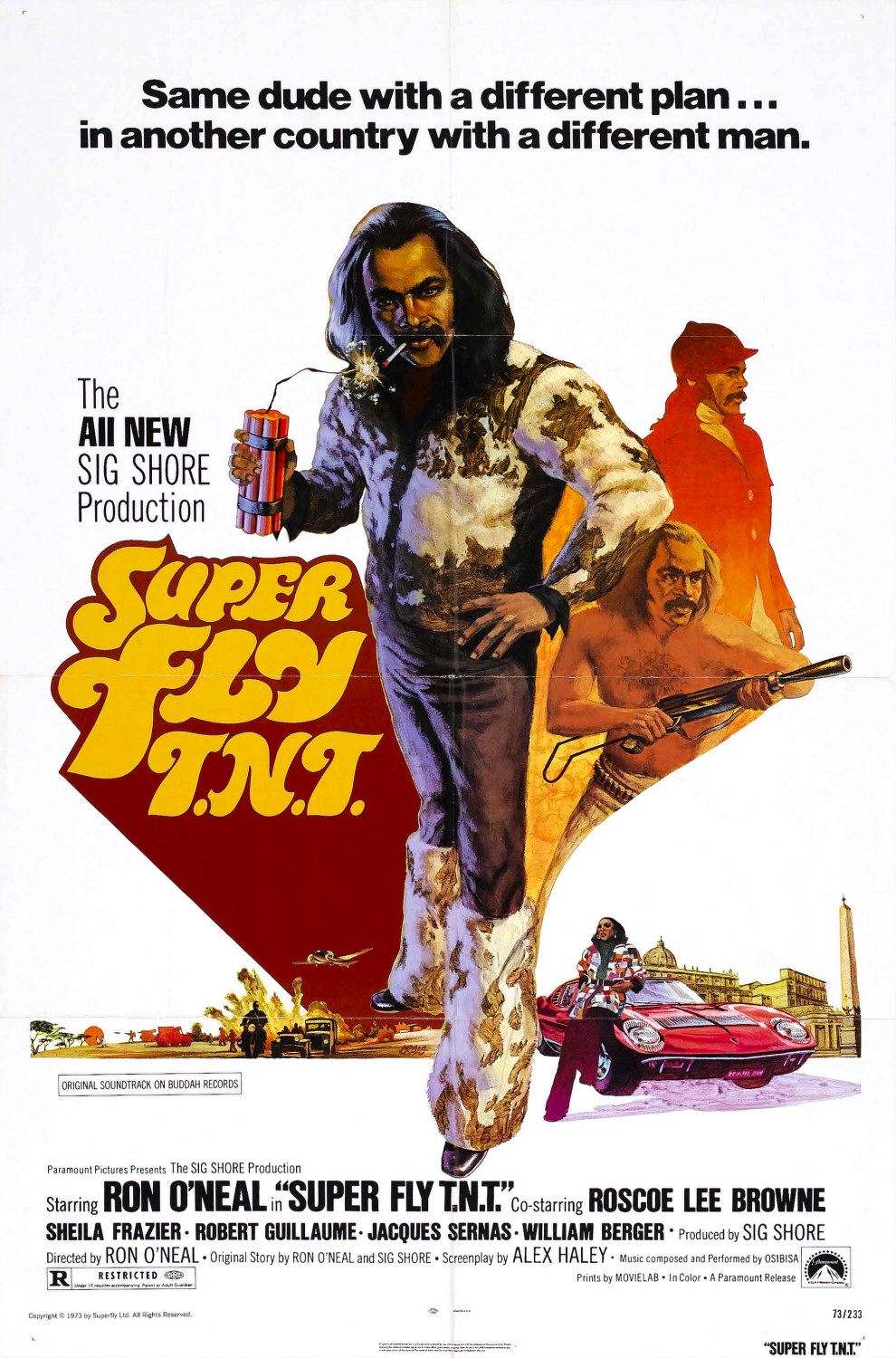 Extra Large Movie Poster Image for Super Fly T.N.T. 