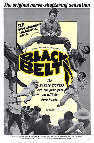 Black Belt Movie Poster