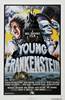 Young Frankenstein (1974) Thumbnail