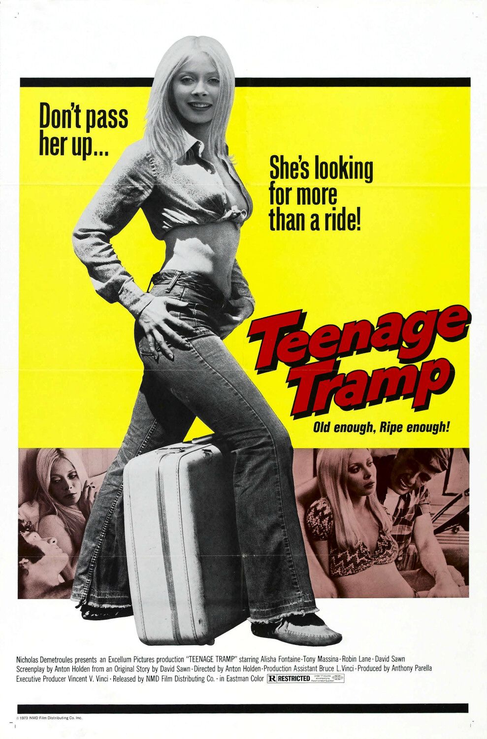 Extra Large Movie Poster Image for Teenage Tramp 