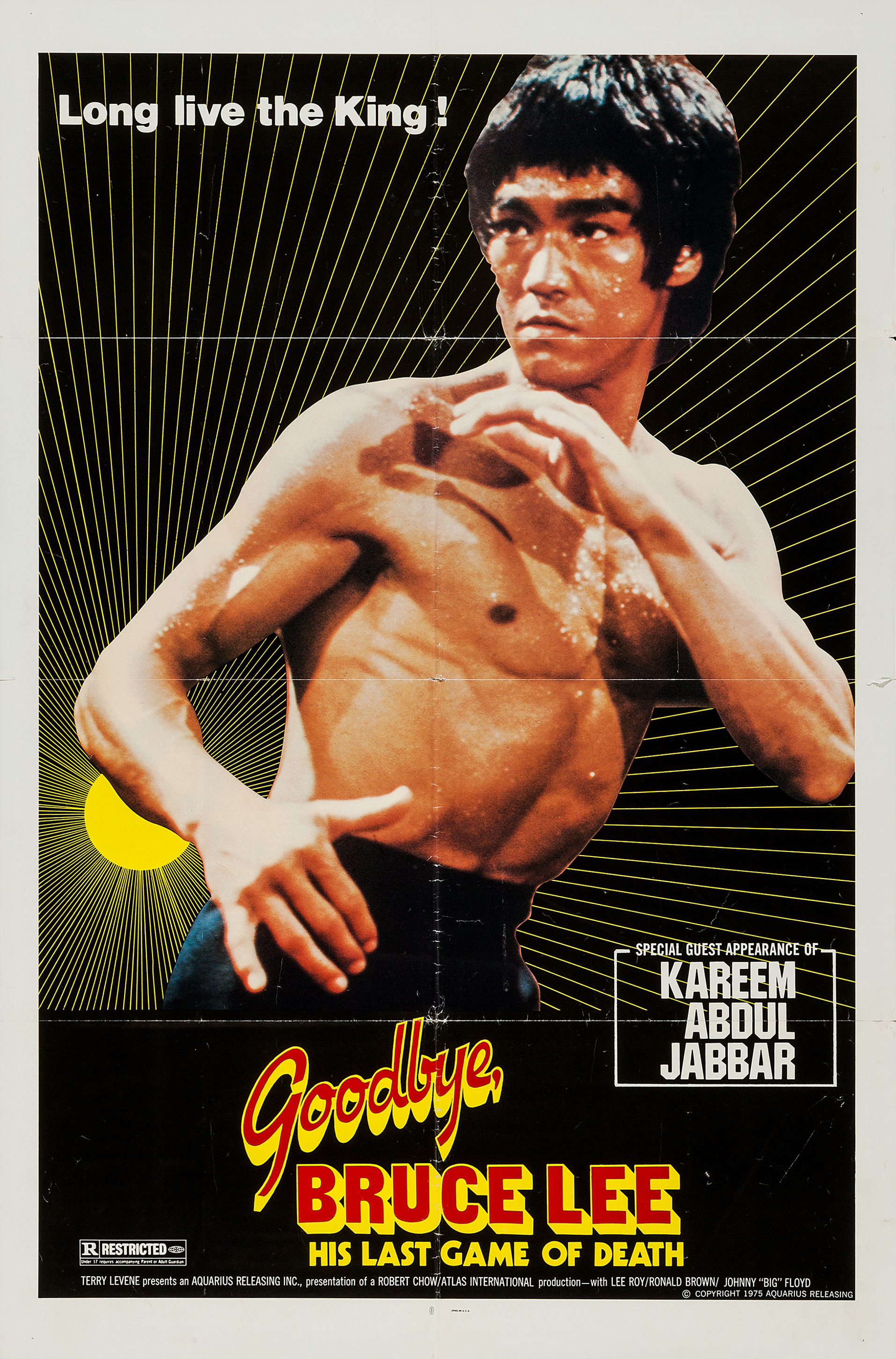 Mega Sized Movie Poster Image for Good Bye, Bruce Lee 