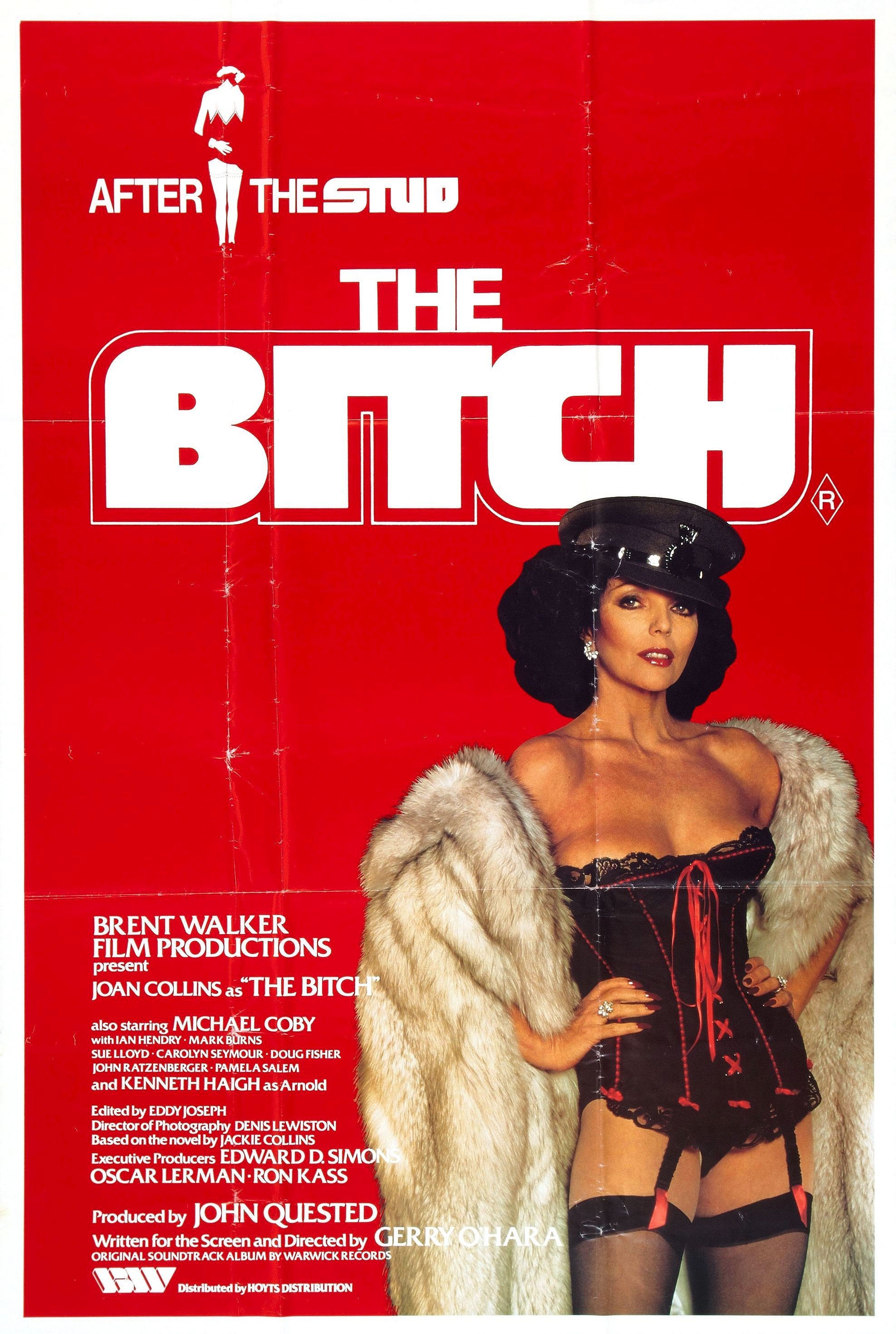 Mega Sized Movie Poster Image for The Bitch 