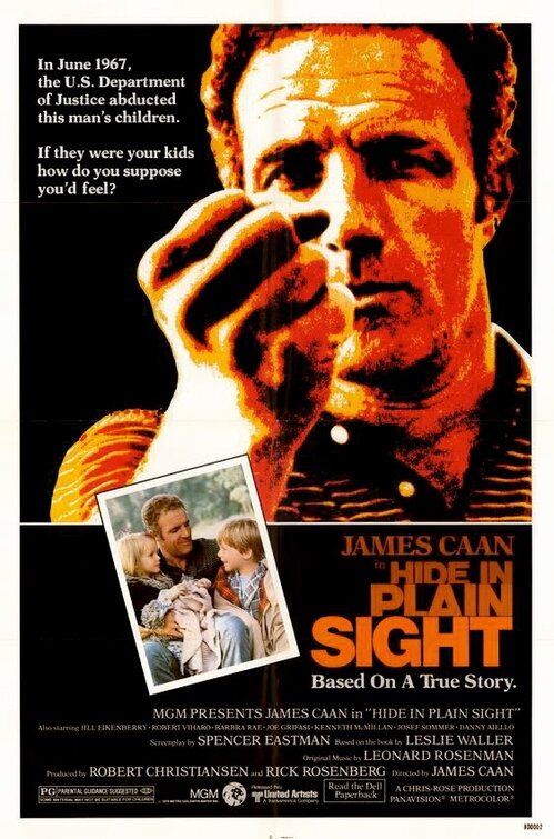 Hide in Plain Sight Movie Poster