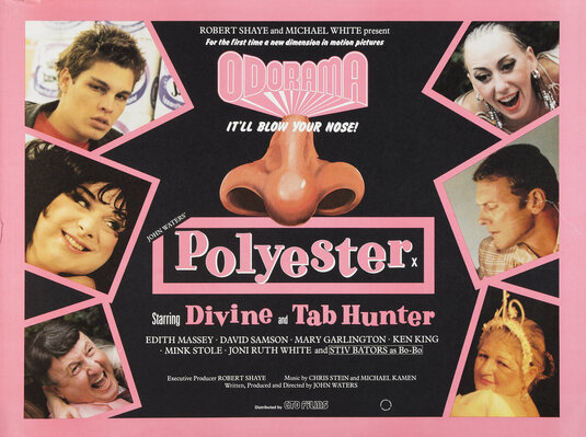 Polyester Movie Poster