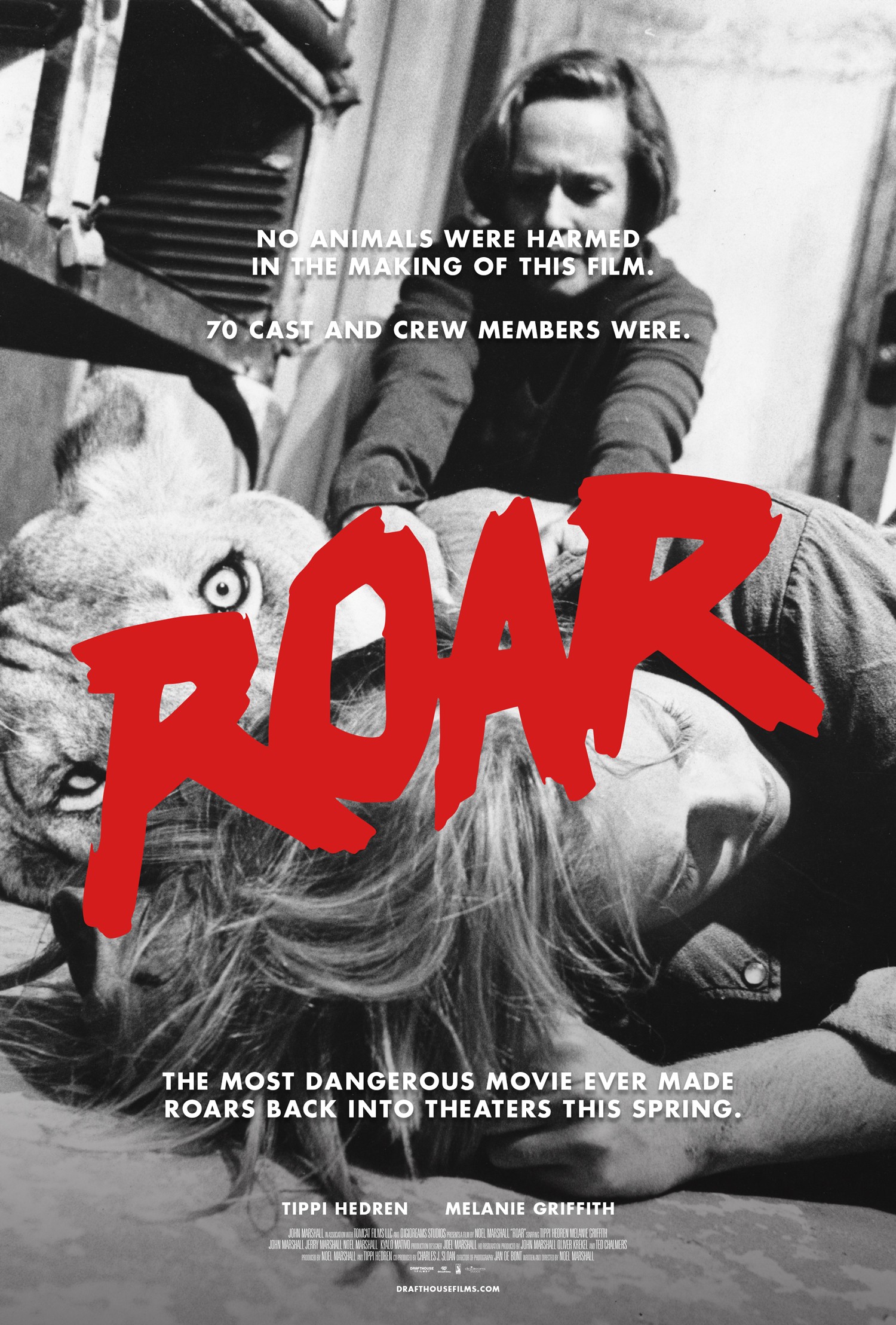 Mega Sized Movie Poster Image for Roar (#2 of 7)