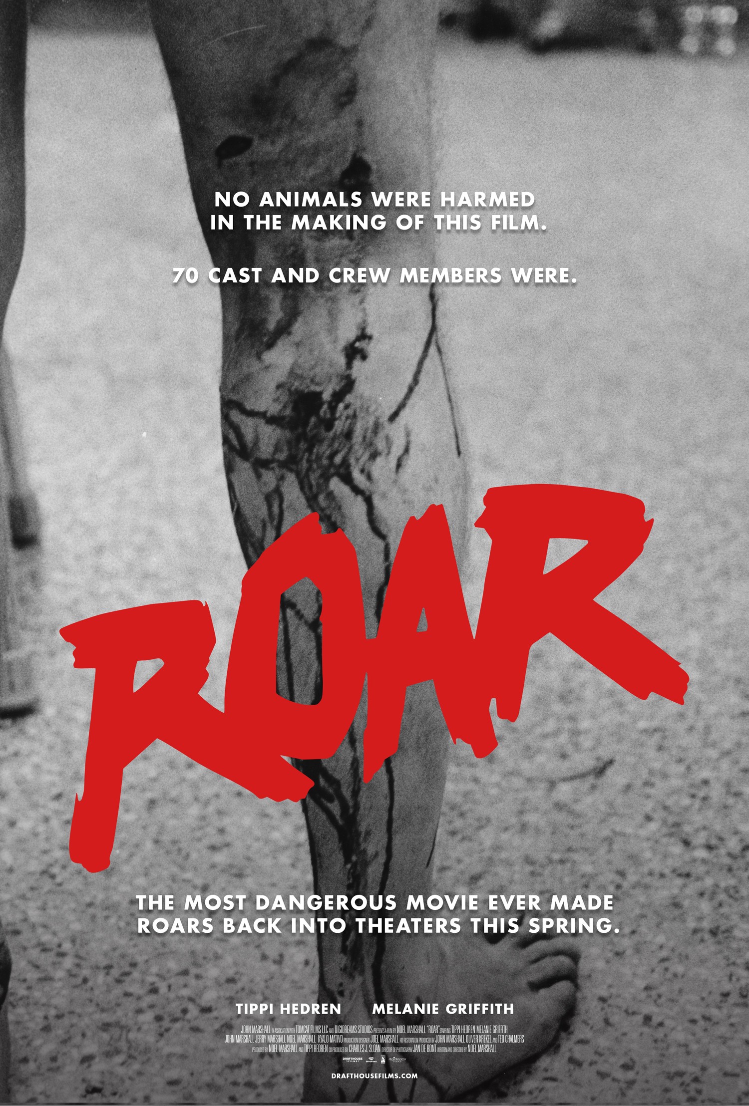 Mega Sized Movie Poster Image for Roar (#3 of 7)