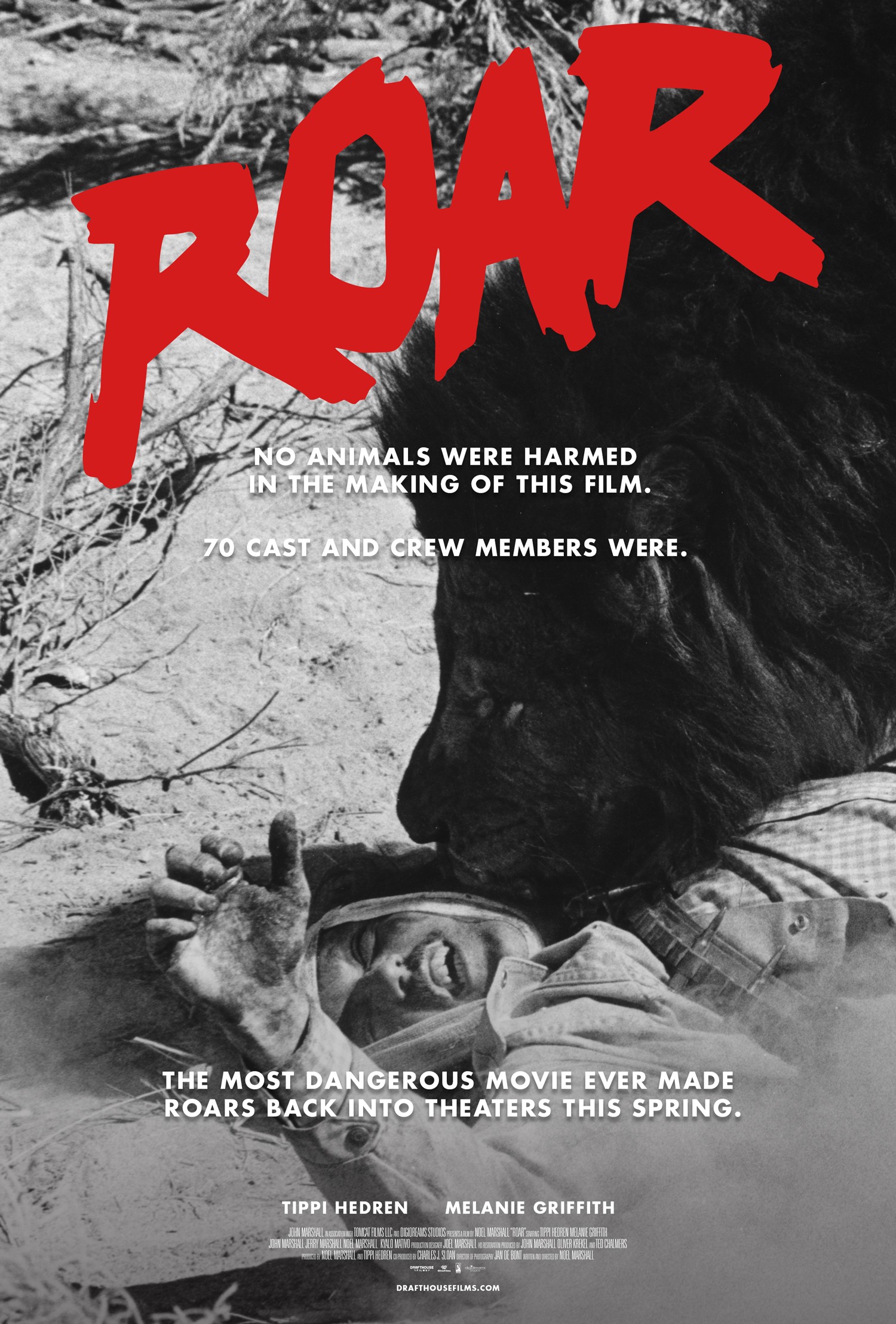Mega Sized Movie Poster Image for Roar (#4 of 7)