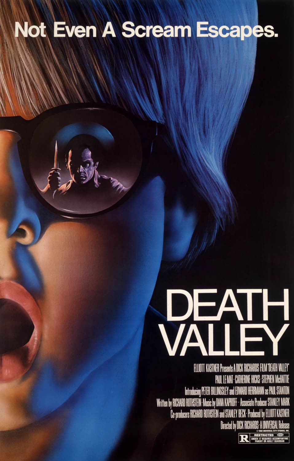 Extra Large Movie Poster Image for Death Valley 