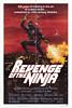 Revenge of the Ninja (1983) Thumbnail