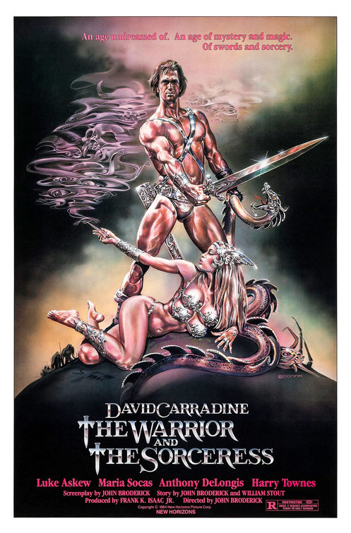 The Warrior and the Sorceress movie