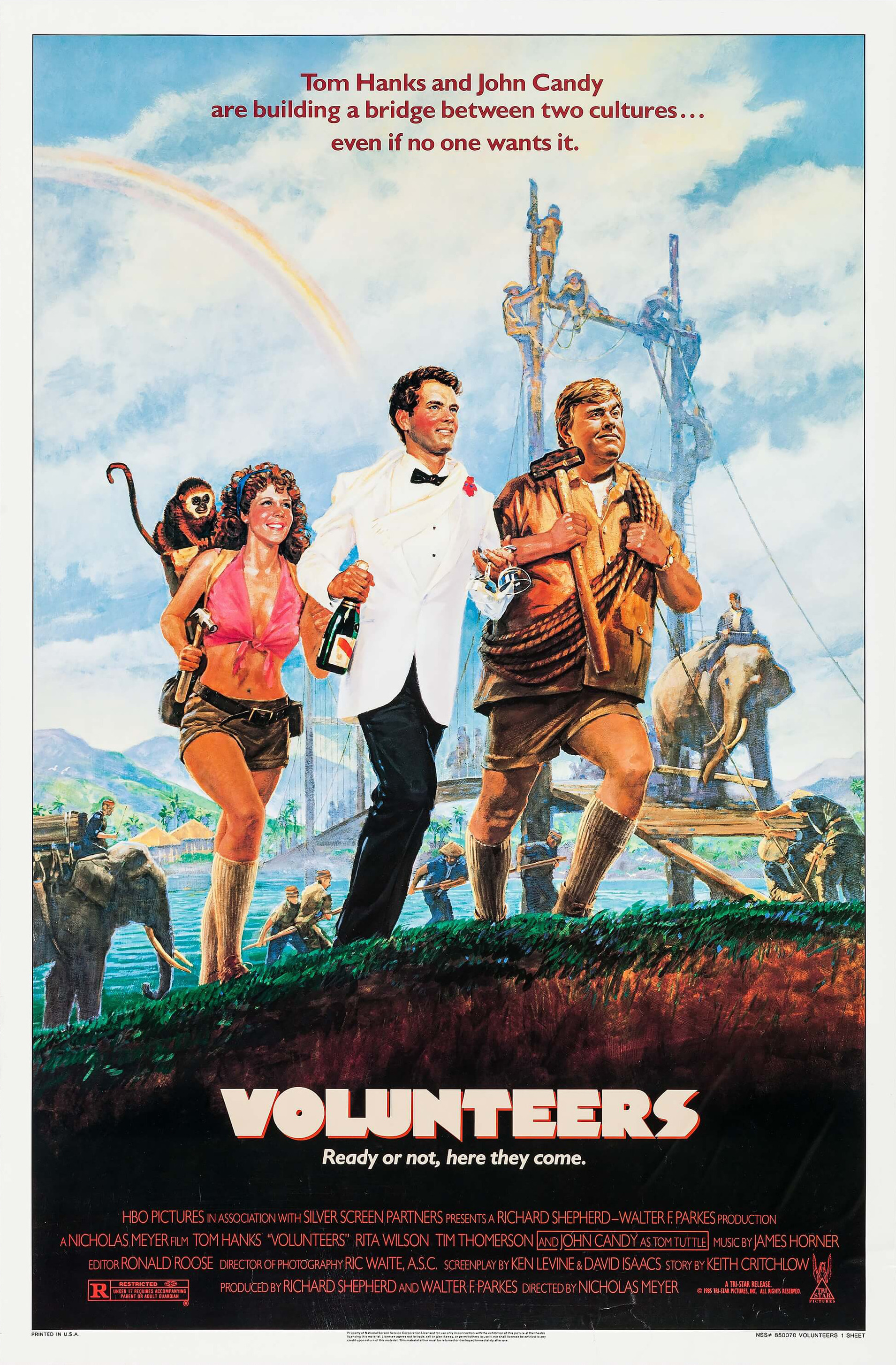 Mega Sized Movie Poster Image for Volunteers 