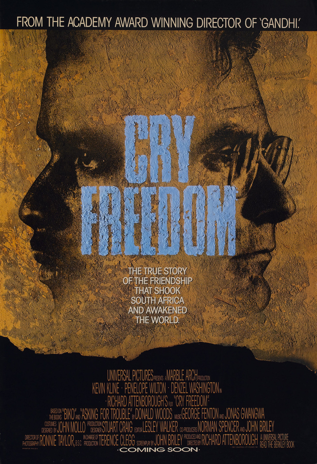 Extra Large Movie Poster Image for Cry Freedom 
