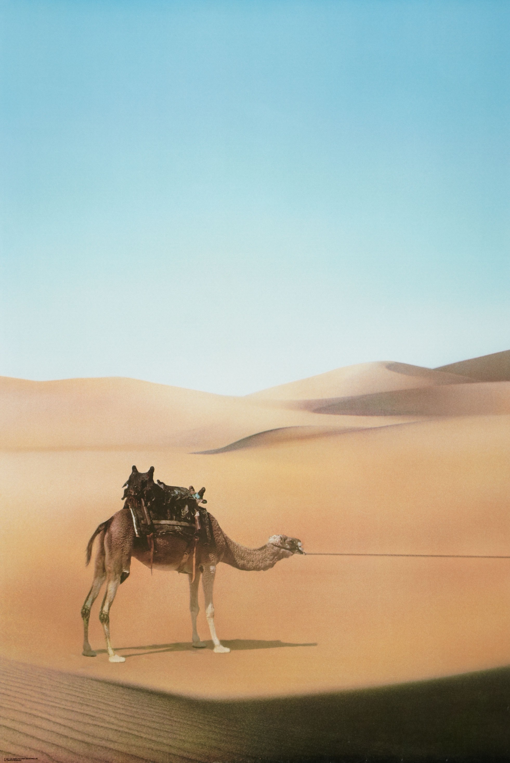 Mega Sized Movie Poster Image for Ishtar (#1 of 2)