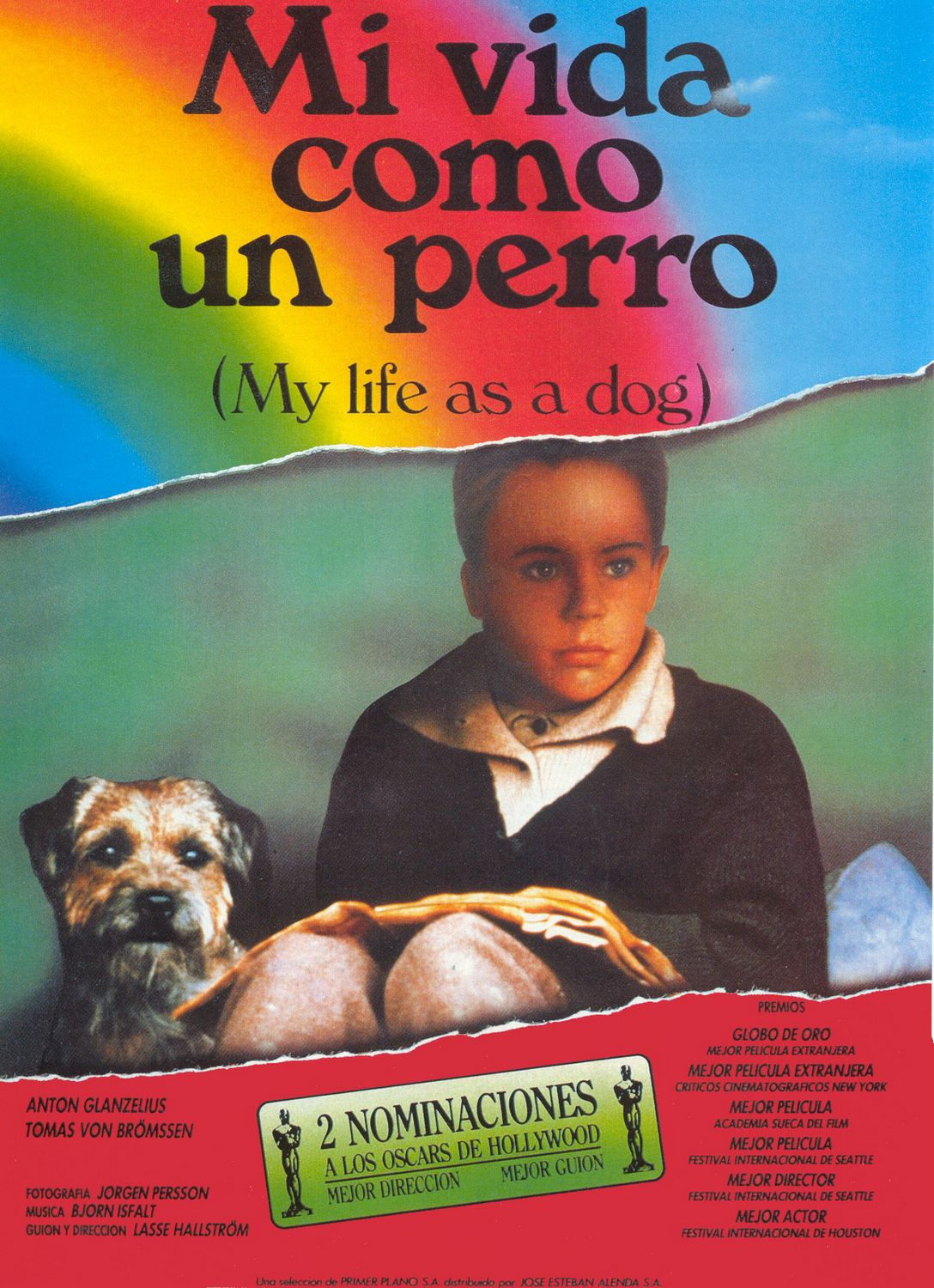 Extra Large Movie Poster Image for My Life as a Dog 