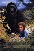 Gorillas in the Mist (1988) Thumbnail