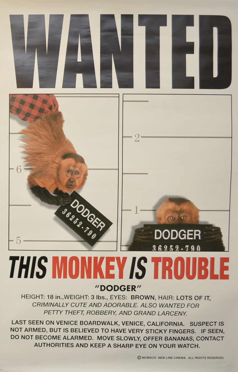 Extra Large Movie Poster Image for Monkey Trouble (#2 of 2)