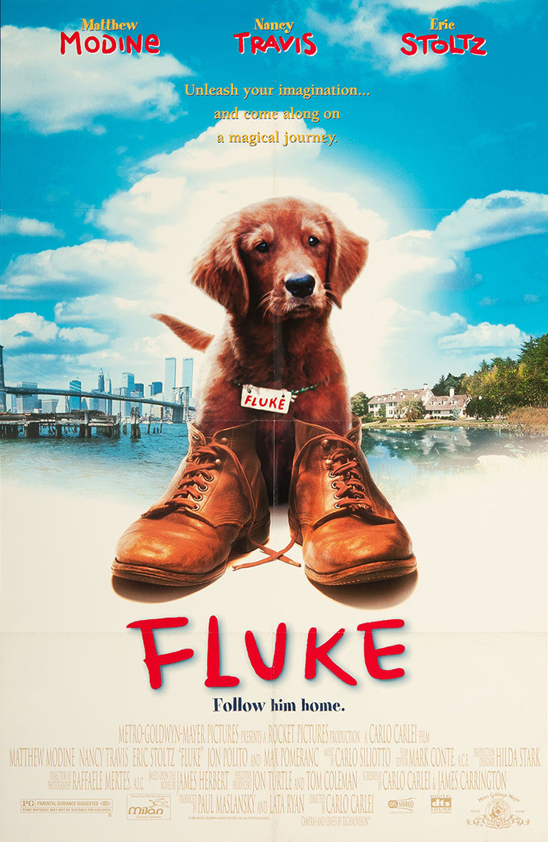 Extra Large Movie Poster Image for Fluke (#2 of 2)