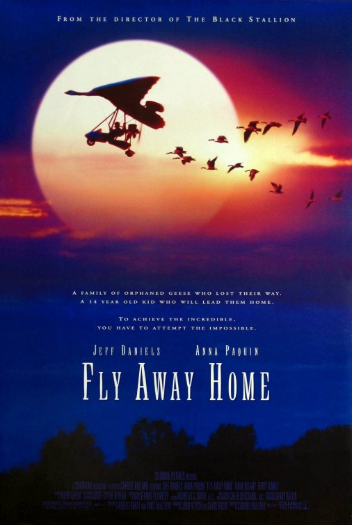 Home Design Photo Gallery on Imp Awards   1996 Movie Poster Gallery   Fly Away Home Poster