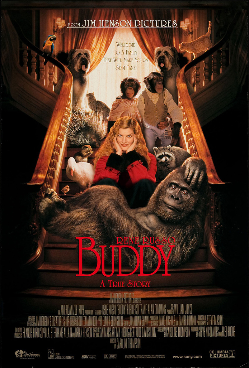 Extra Large Movie Poster Image for Buddy 