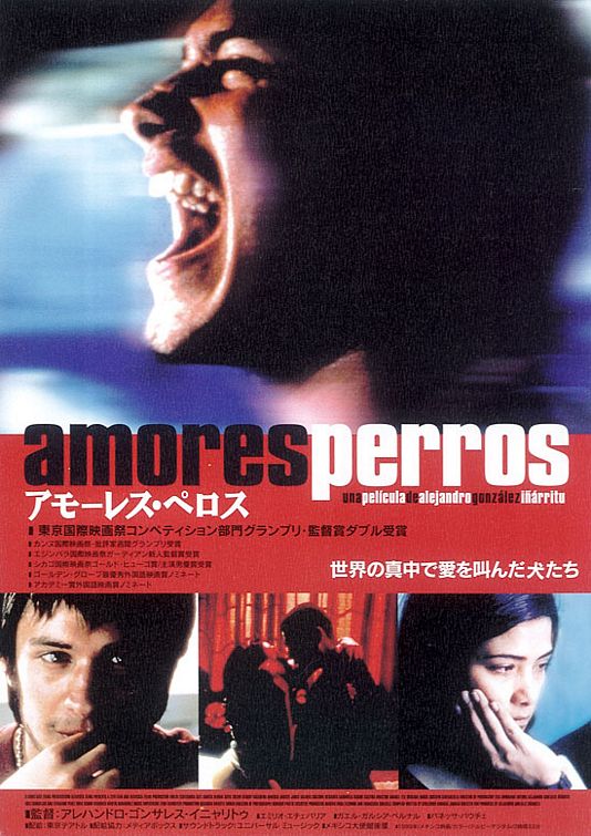 amore perros. Amores Perros Poster