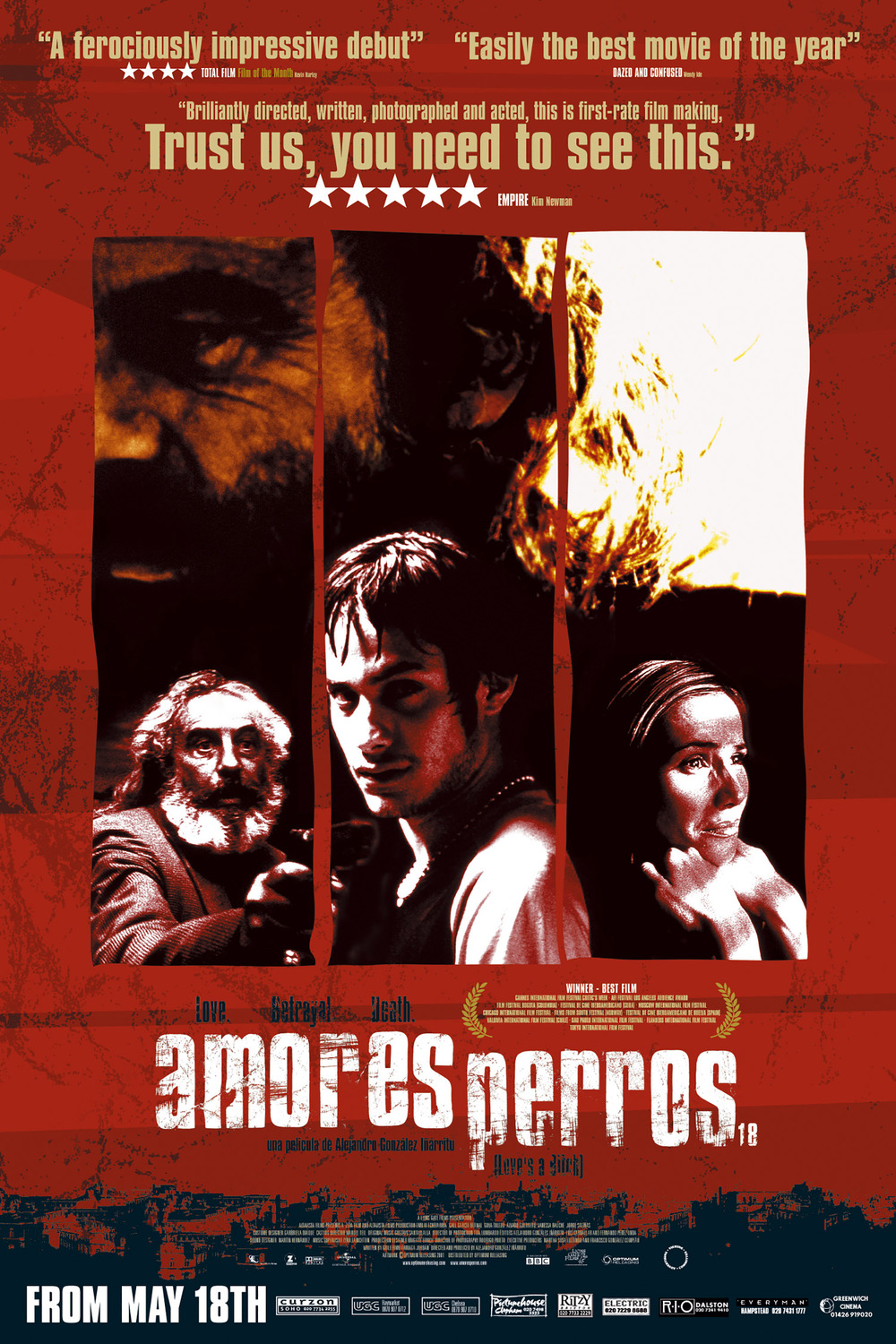 Extra Large Movie Poster Image for Amores Perros (#5 of 5)