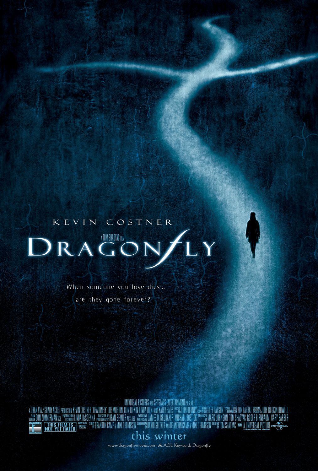 Extra Large Movie Poster Image for Dragonfly (#1 of 3)