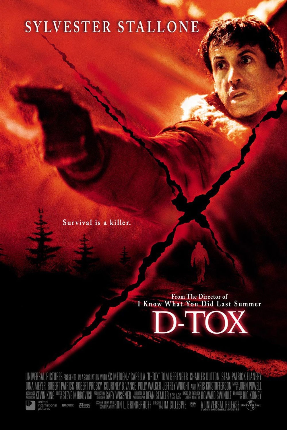 Extra Large Movie Poster Image for D-Tox 