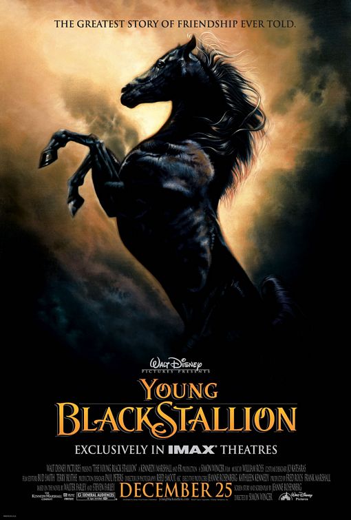 Young Black Stallion Movie Poster