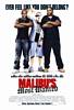 Malibu's Most Wanted (2003) Thumbnail