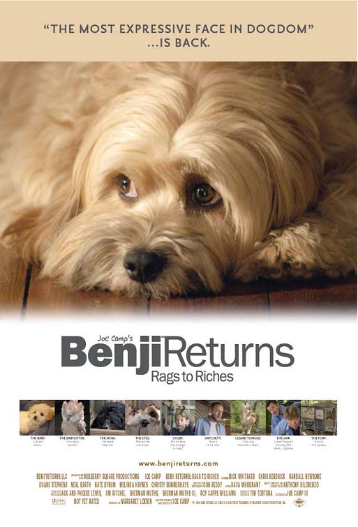 Benji Returns: Rags to Riches Movie Poster