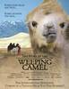 The Story of the Weeping Camel (2004) Thumbnail