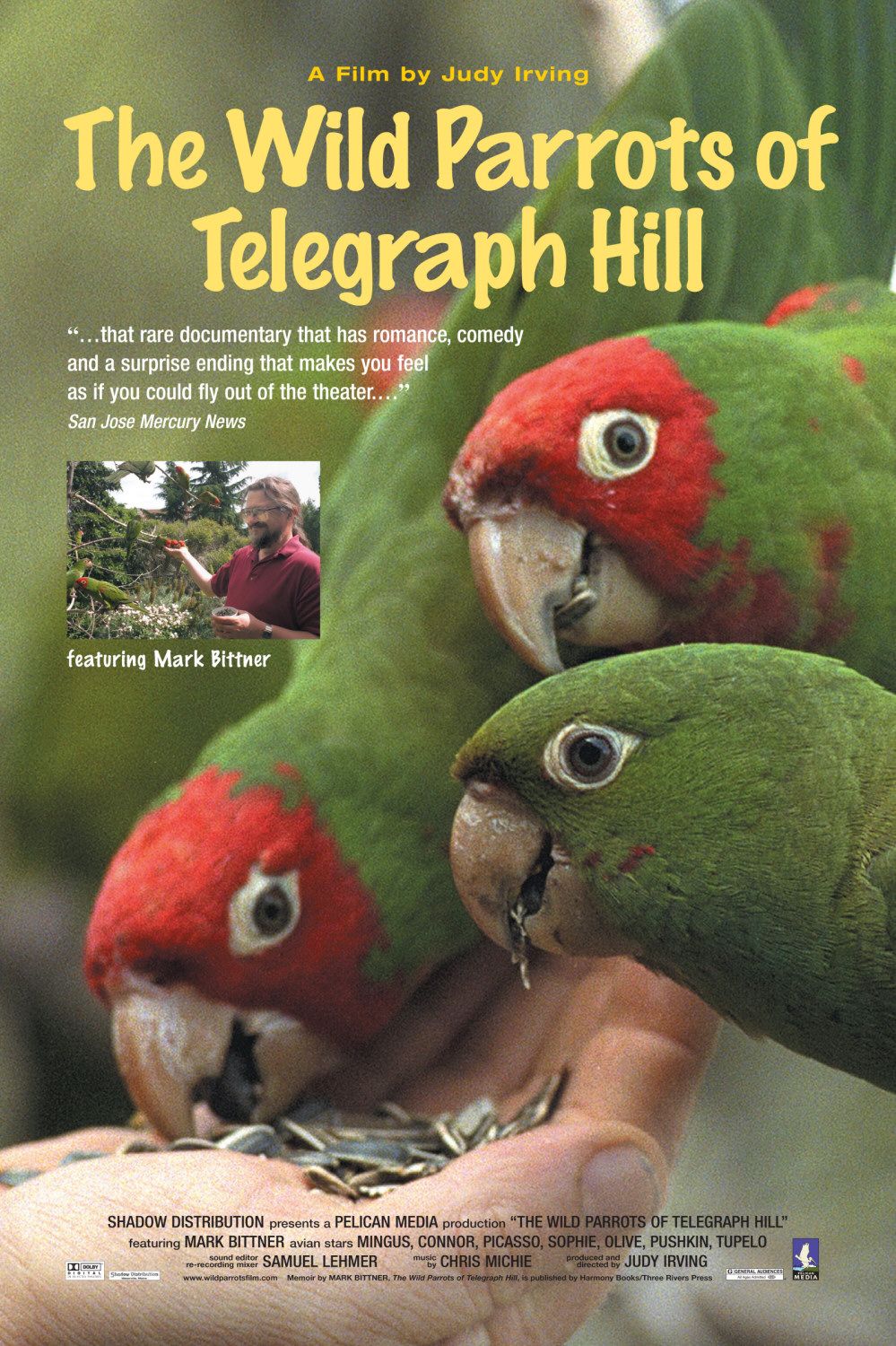 Extra Large Movie Poster Image for The Wild Parrots of Telegraph Hill 