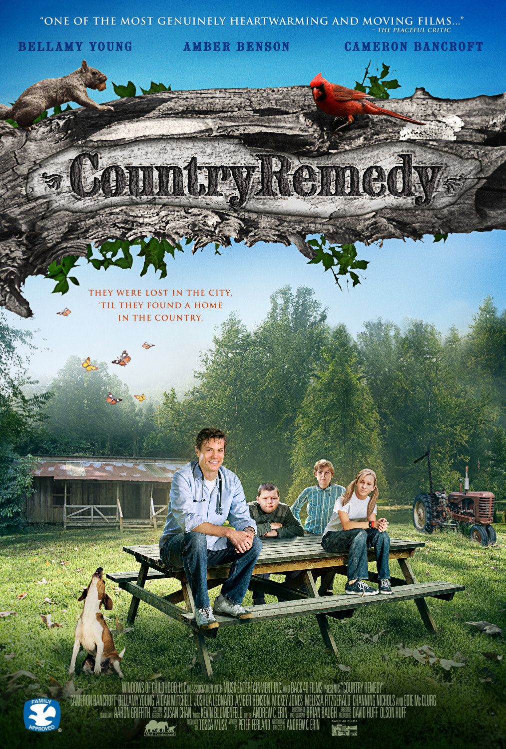 Extra Large Movie Poster Image for Country Remedy 