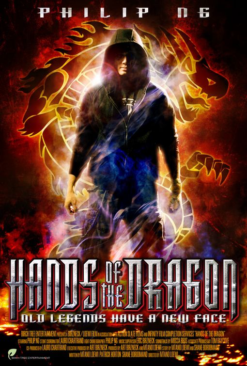 Hands of the Dragon Movie Poster