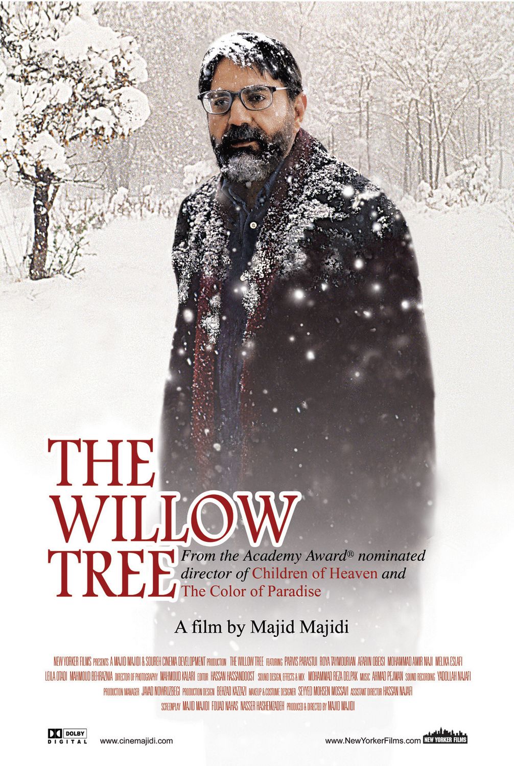 Extra Large Movie Poster Image for The Willow Tree 