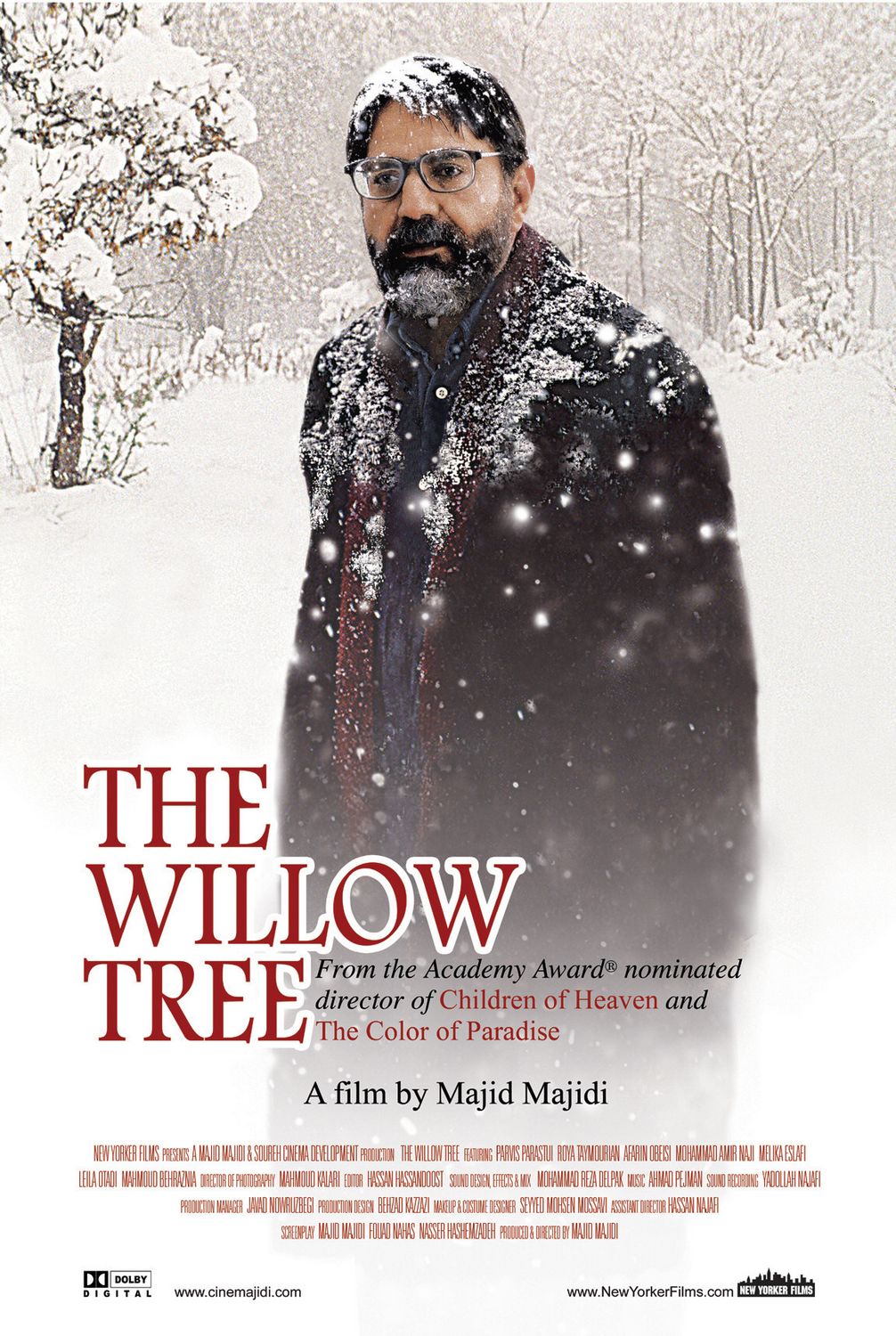 Extra Large Movie Poster Image for The Willow Tree 