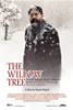 The Willow Tree (2007) Thumbnail