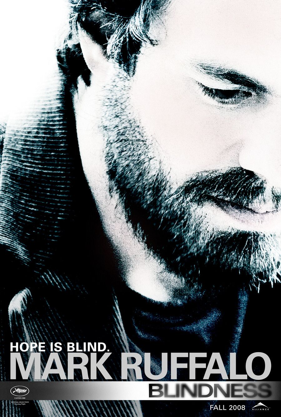 Extra Large Movie Poster Image for Blindness (#5 of 10)