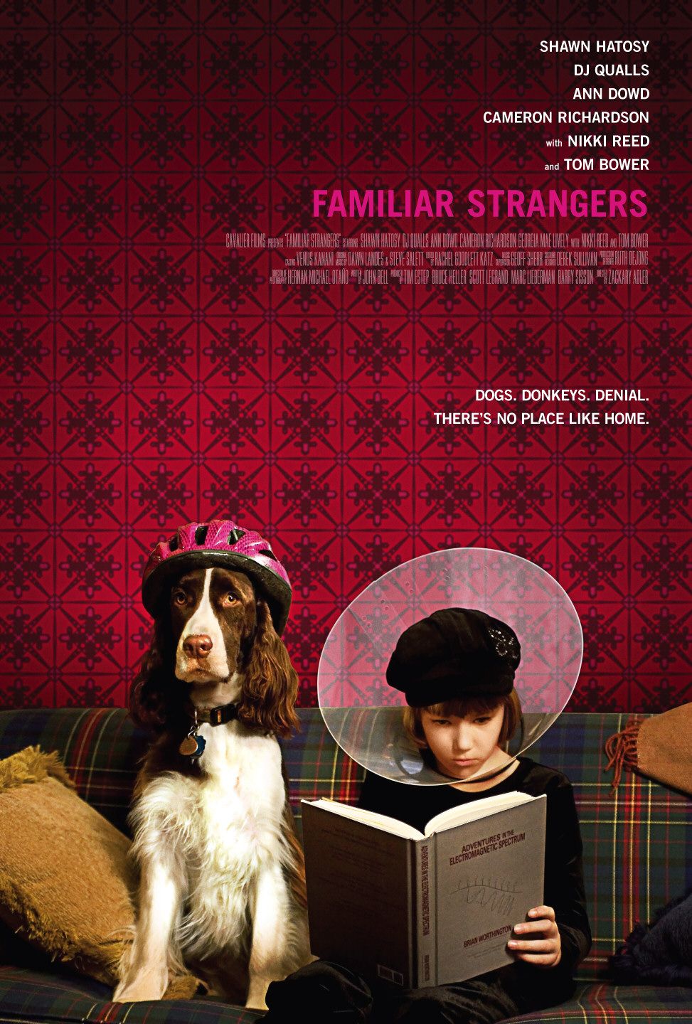 Extra Large Movie Poster Image for Familiar Strangers 