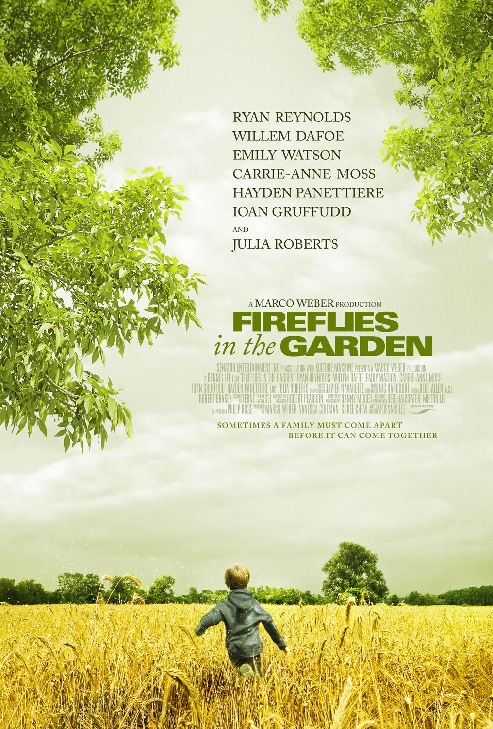 Extra Large Movie Poster Image for Fireflies in the Garden (#3 of 5)