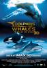 Dolphins and Whales 3D: Tribes of the Ocean (2008) Thumbnail