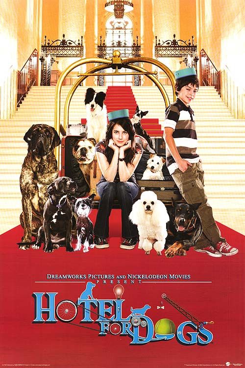Dogs for Dummies movie