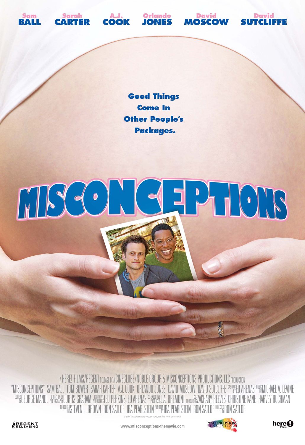 Extra Large Movie Poster Image for Misconceptions 