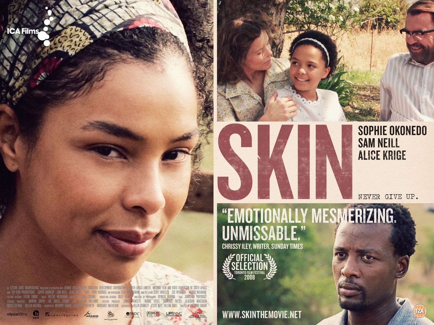 Extra Large Movie Poster Image for Skin (#2 of 2)