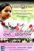 Owl and the Sparrow (2009) Thumbnail