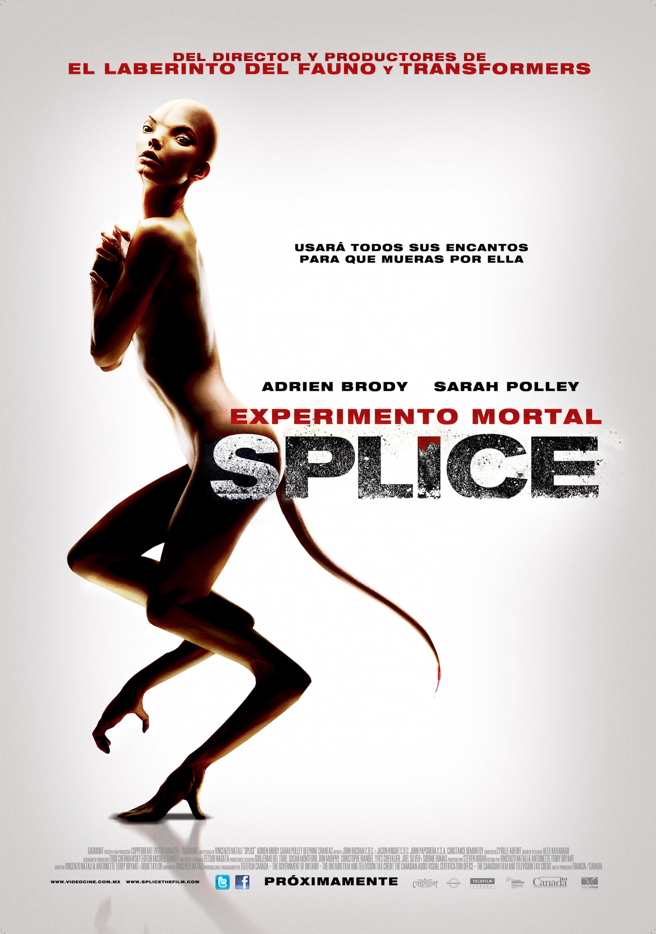 Mega Sized Movie Poster Image for Splice (#10 of 10)