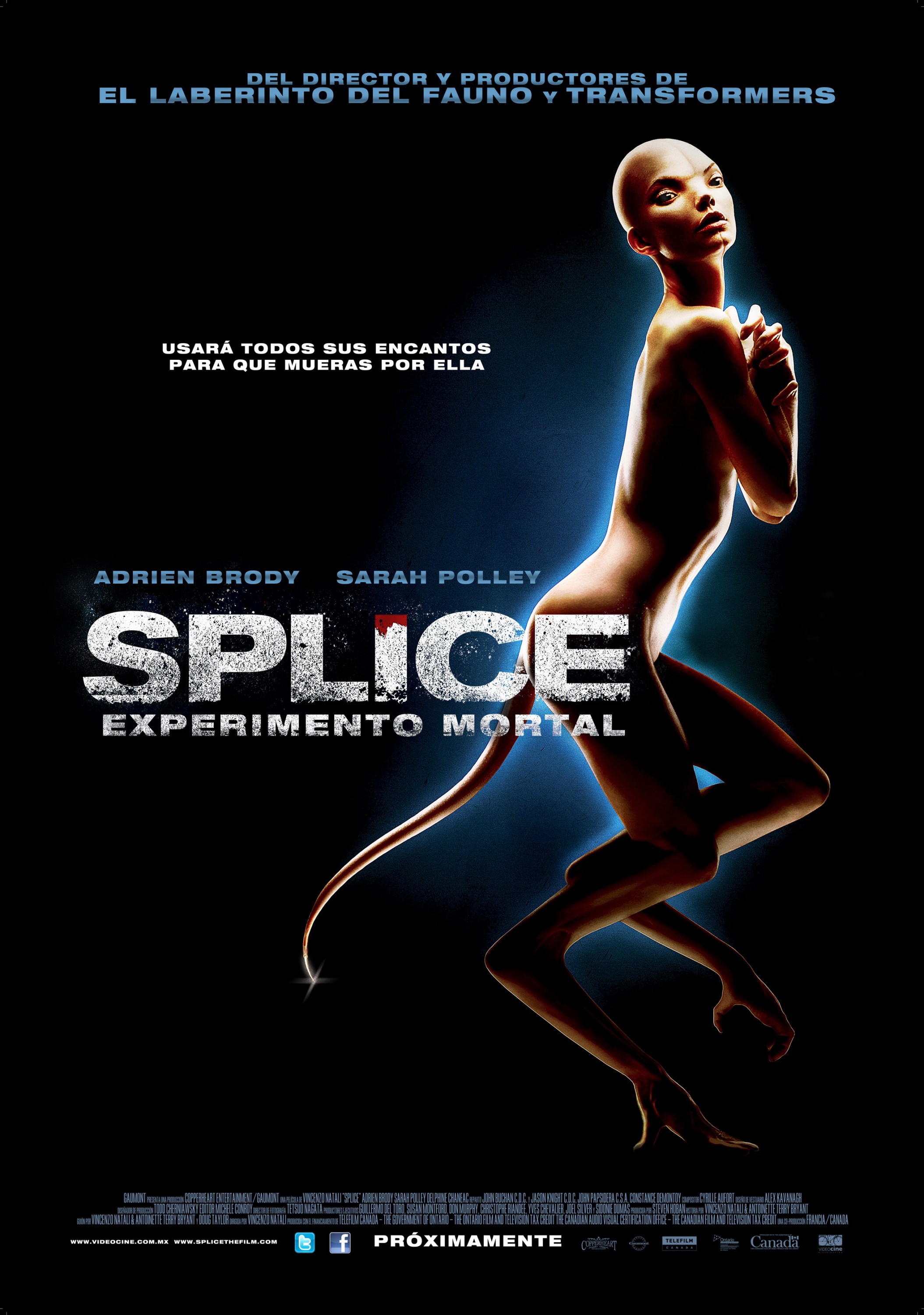Mega Sized Movie Poster Image for Splice (#2 of 10)