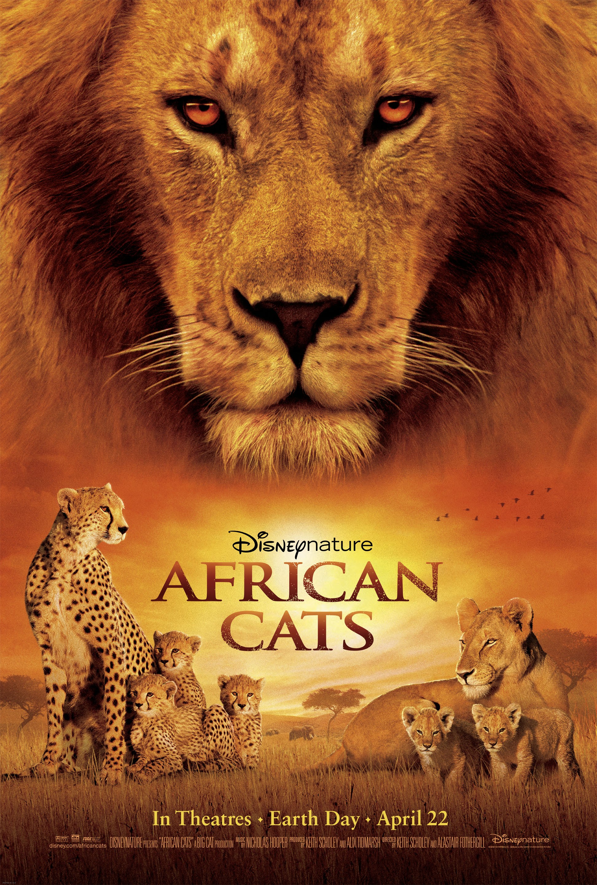 Mega Sized Movie Poster Image for African Cats: Kingdom of Courage (#1 of 2)
